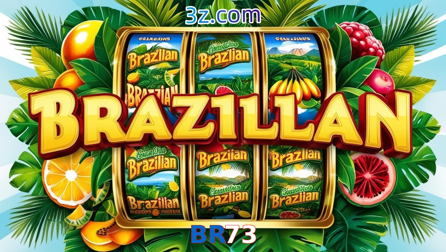 BR73